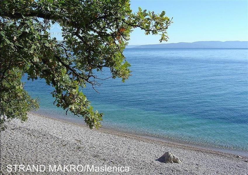 Design-Beachresort Масленица Екстериор снимка